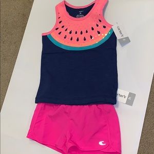 Pink summer watermelon set